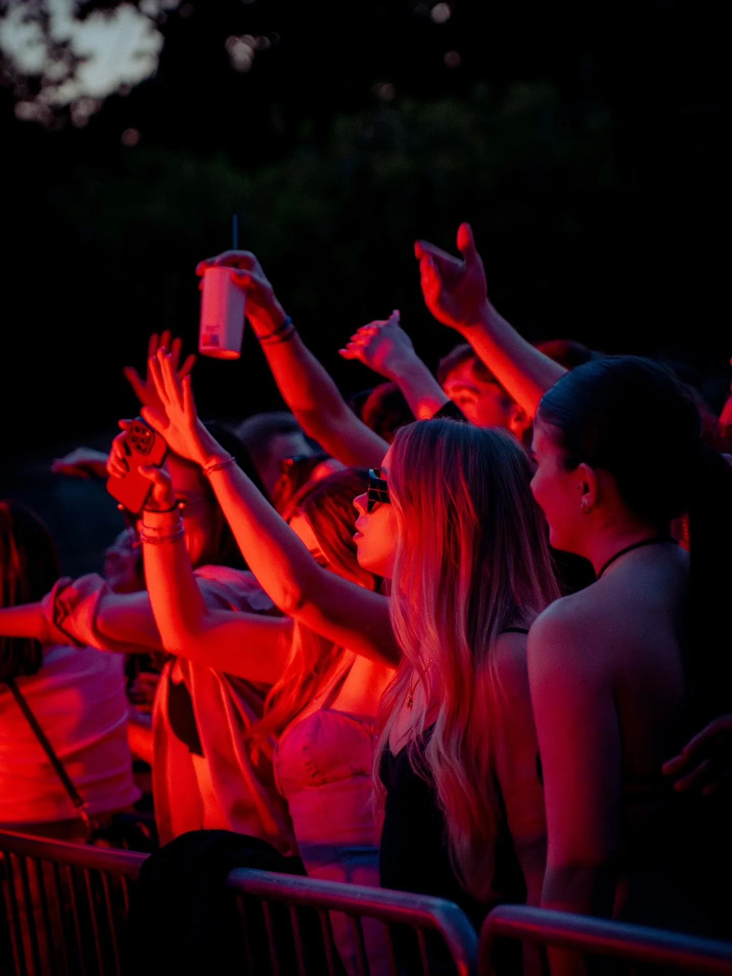 Beehive Block Party photo 8