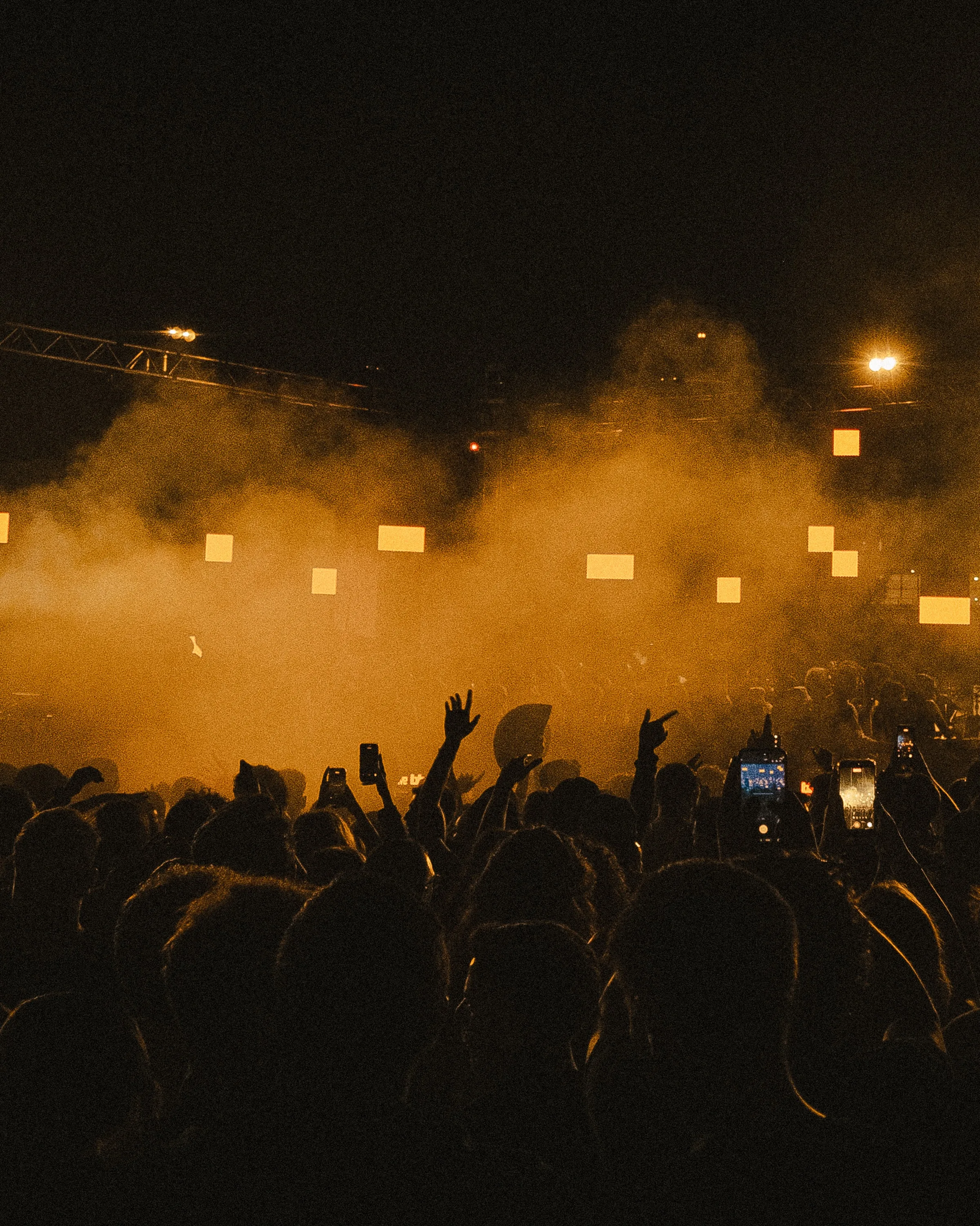 Beehive Festival photo 1